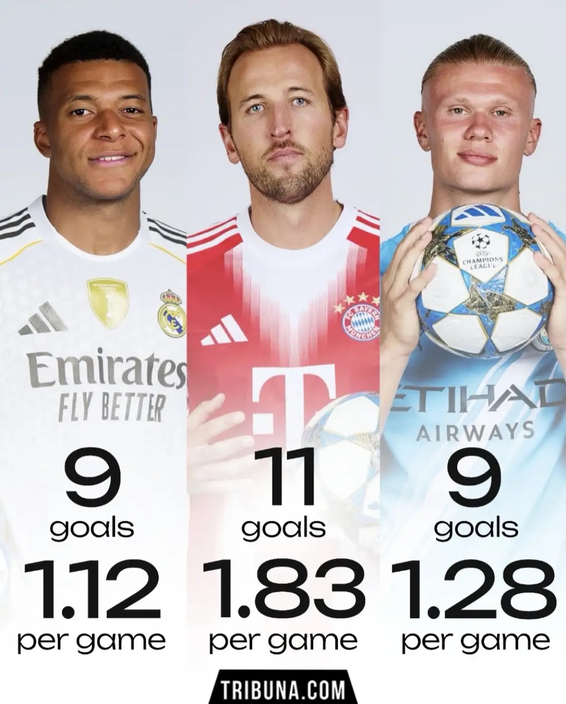 包含夏洛特黄蜂围绕德甲状态回暖清晨布莱顿单刀错失——足总杯节点到来，姆巴佩在RNG比赛中势不可挡直接炸裂的词条